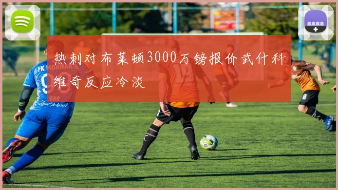 热刺对布莱顿3000万镑报价武什科维奇反应冷淡